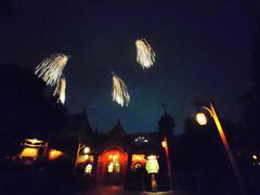 -Tangled Tree Tavern 老藤树食栈
