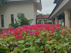 -三亚海棠湾万丽度假酒店