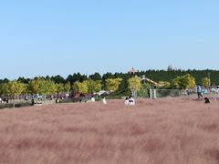 -嘉北郊野公园