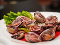 醉毛蚶-高佳庄·舟山海鲜(海景旗舰店)