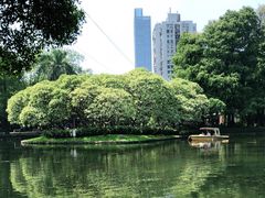 -晓港公园
