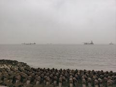 -上海滨江森林公园