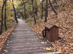 -帽儿山国家森林公园