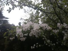 -复旦大学光华楼