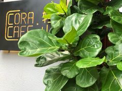 -转山咖啡(松柏社区店)