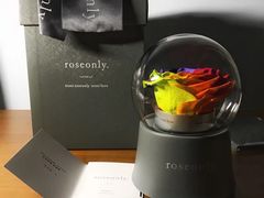 -ROSEONLY诺誓(沈阳万象城店)