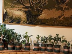 -草原塞蛮羊火锅城(港湾店)