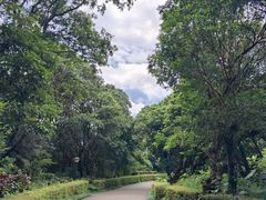 -月亮湾公园