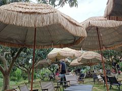 -桃源山庄·水蜜桃采摘·柴火鸡·烧烤团建(龙泉山店)
