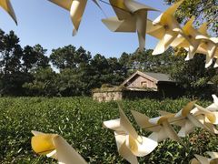 -宝岩生态观光园