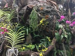 -北京植物园-展览温室