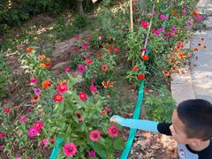 -南京金牛湖风景区