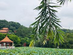 -明珠海港大酒店