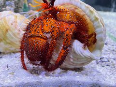 -太平洋海底世界