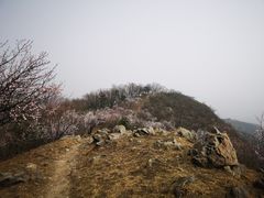 -北京鹫峰国家森林公园