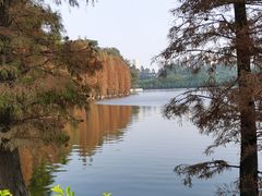 -三水森林公园