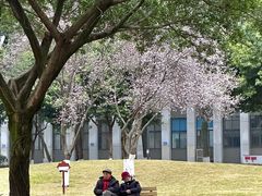 -四川大学(望江校区)