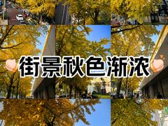 -北京大学口腔医院(魏公村总院)