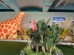 -秦皇岛乐岛海洋王国