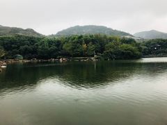 -白马涧龙池景区
