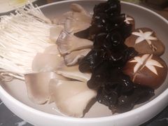 -杨家火锅(国美店)