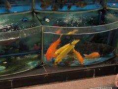 -AEON永旺(东方宝泰店)