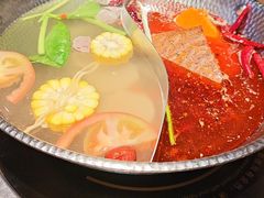 -手选潮汕鲜活牛肉火锅(二七广场店)