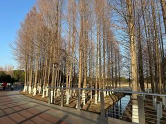 -滆湖低碳生态公园