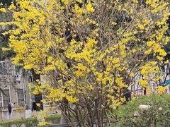 -山东大学(洪家楼校区)