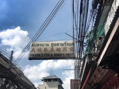 -义福巷鱼翅燕窝