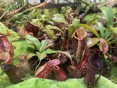 -国家植物园南园