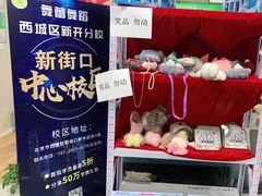 -舞蕾舞蹈(特长生校区)