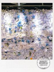 -doladola(徐家汇店)