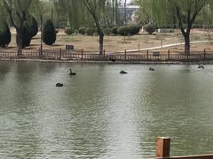 -燕郊植物园