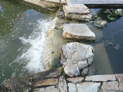 -北京国家会计学院