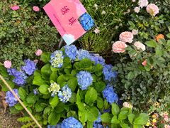 -人民公园(罗湖区)