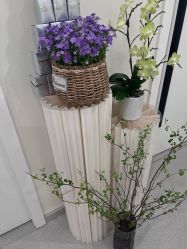 -海涛医疗美容·面部抗衰·注射美鼻