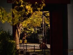 -红楼梦邮局