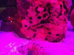 -沈阳海洋探索中心