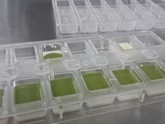 android_upload_pic-爱之旅diy烘焙坊(西直门店)