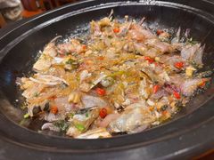 -杨厨的田园饭店(长城路店)