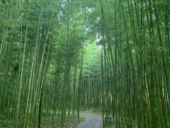 -杭州双溪漂流景区