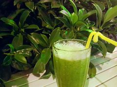 -Sirena海妖日咖夜酒