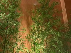 -初蓉丨遇见新川菜(亲贤街荣耀店)