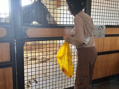 -北京群众马术培训基地