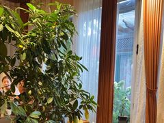 -慢丽江·云南野生菌土鸡锅(付家庄店)