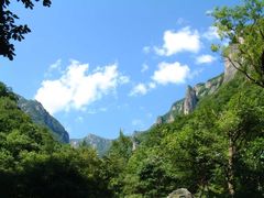 -牛背梁国家森林公园