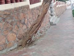 android_upload_pic-八大关景区