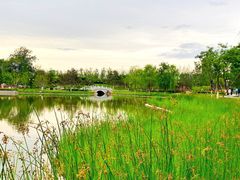 -西海子公园