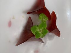 -觀芷隐轩